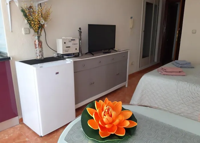 Almudena Estudio Torrevieja