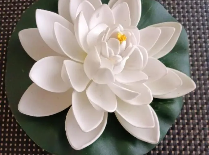 Almudena Estudio Torrevieja