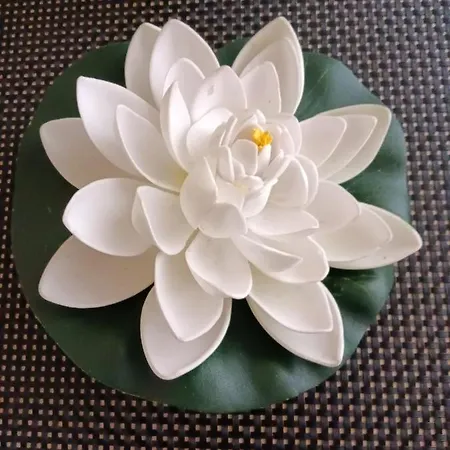 Almudena Estudio Torrevieja